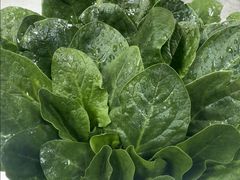 -前门涮肉·鲜切羊肉·品质老店(长风店)