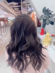 -FINE HAIR 烫染专业设计