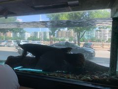 -汇豪轩(光明东路店)