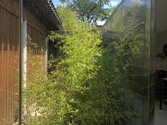 -曲廊院(东四十一条店)