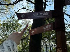 -阳台山森林公园