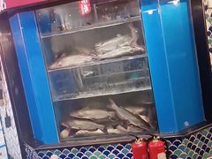 -鱼酷活鱼烤鱼(梅江印象城店)