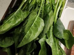 -古乐牛香·鲜牛肉牛杂火锅(梅村五洲国际店)