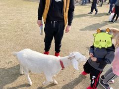 -前小桔亲子创意农场·草莓采摘·露营烧烤