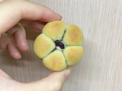 -吴记·吴酥生PASTRY宫廷酥饼