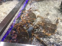 -盒马鲜生(昆城店)