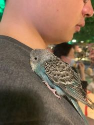 -酷嗒动物文化乐园(cutezoo西溪乐天城店)