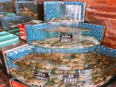 -浩运·海鲜青岛菜·海胆水饺(石老人店)