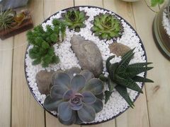 -荷兰布尔玛国际花艺学院