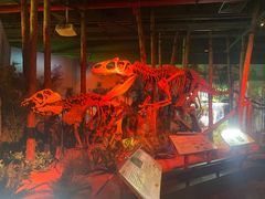 -正佳自然科学博物馆