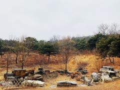 -北京西山国家森林公园