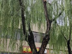 -元大都城垣遗址公园