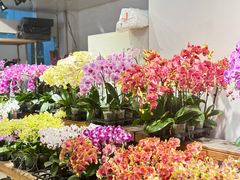 -双季花艺园艺市场(浦东店)