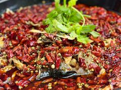 -蛙老爹·蜀香美蛙鱼头(王家湾店)