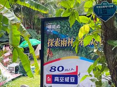 -呀诺达热带雨林