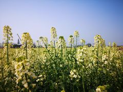 -中国天府农业博览园