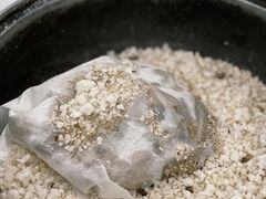 秘制盐焗乳鸽-侠成水上农庄(工业大道店)