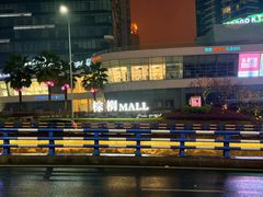 -棕榈MALL