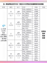 -VE DIAMOND·天然&培育钻石定制