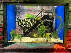 -瑞普利水族馆