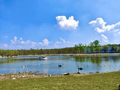 -长春市南湖公园