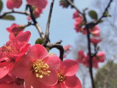 -重庆中央公园(渝北区)