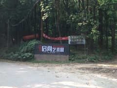 -火炉山森林公园