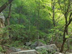 -红崖峡谷景区