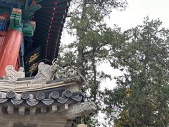 -香山公园