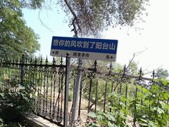-阳台山自然风景区