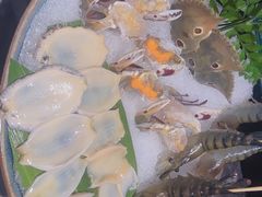 -禄婶鸡煲·打边炉