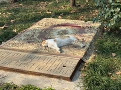 -西园戒幢律寺
