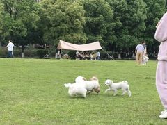 -成都南湖公园