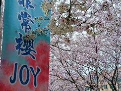 -高东镇樱花园
