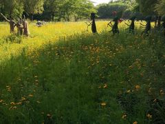 -梁鸿国家湿地公园