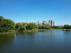 -新江湾城公园