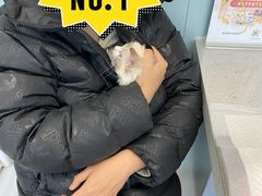 -纳吉亚猫专科动物诊疗中心(蒋宅口分院)