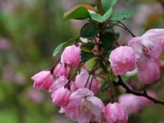 -卯时·龙光雅宴·精致锡帮菜(惠山古镇店)