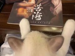 -壹迦桌游·血染钟楼剧本杀狼人杀