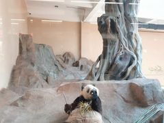 -宁波野生动物园