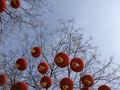 -河北省园博园