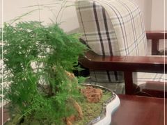 -宁味楼·西北创新融合菜(康平路锦泰店)