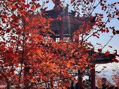-狼牙山风景区
