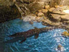 -多彩贵州城极地海洋世界