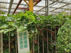 -九天休闲谷