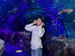 -沈阳海洋探索中心