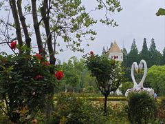 -东平国家森林公园