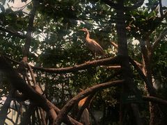 -中国湿地博物馆