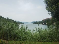 -逸廊大堂吧-下午茶·简餐-千岛湖自由洲际殿
