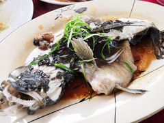 清蒸石斑仔-棠记海鲜餐厅(南朗镇店)